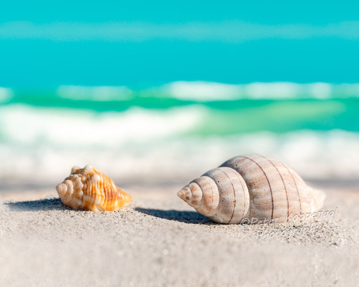 Holiday Image
